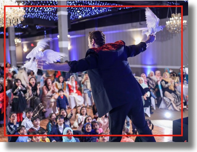 Family Event Clean Comedy Trade Show Magician Corporate Comedy Magician For Company Parties and Trade Shows in the USA